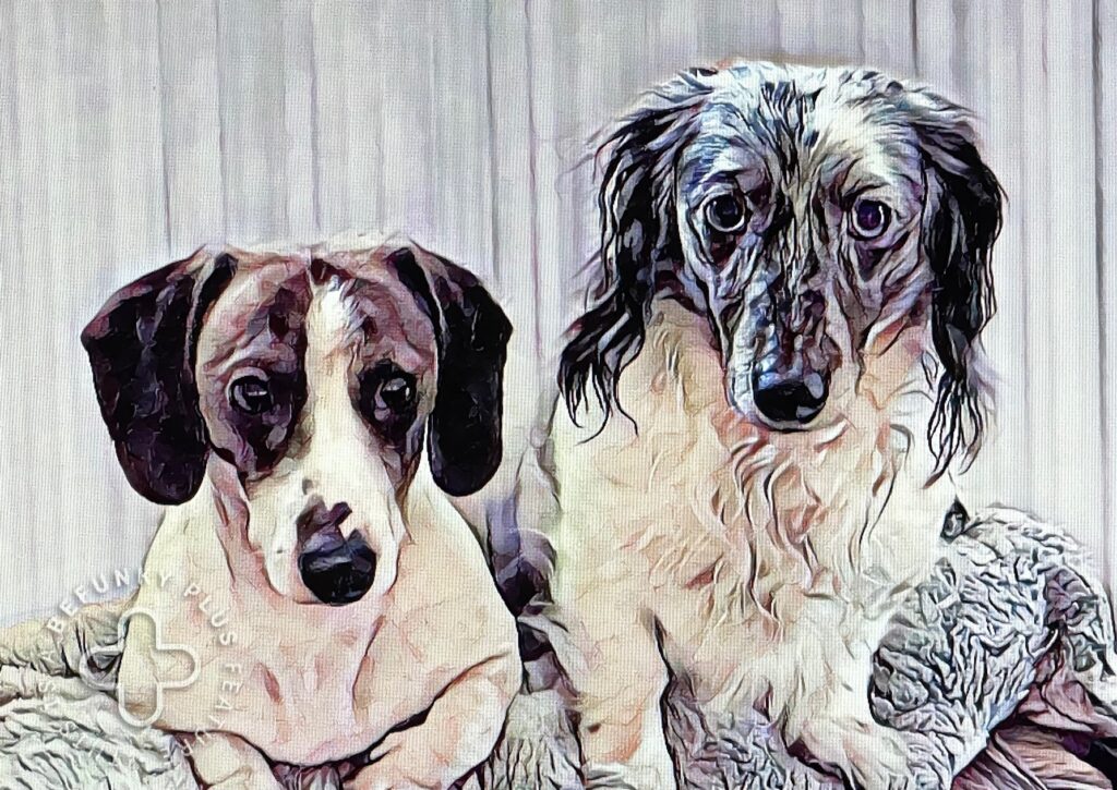 A photo of pets turned into artwork is a meaningful DIY gift.