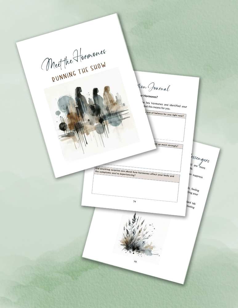 Pages from the Hormones & Midlife workbook, focusing on perimenopause hormones.